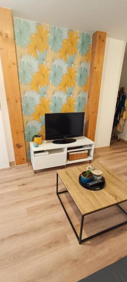Elegant Et Central 페르피냥 외부 사진